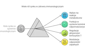 Cynk: jak zażywać skutecznie i bezpiecznie? Dawki, formy, interakcje