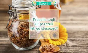 Jak zażywać propolis? Kompletny poradnik: dawkowanie i formy