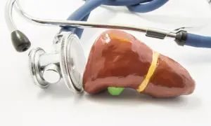 Model wątroby i stetoskop. Symbol pracy hepatologa.