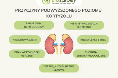 Jak obniżyć kortyzol? Sprawdzone suplementy i porady eksperta