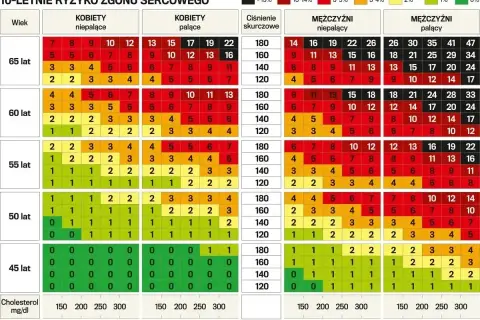Tabela ryzyka sercowo-naczyniowego. Sprawdź, co to jest lipidogram i jak wpływa na Twoje zdrowie, analizując wyniki.