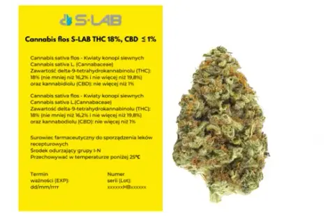 THC w medycznej marihuanie: Ile procent w aptece i co to znaczy?