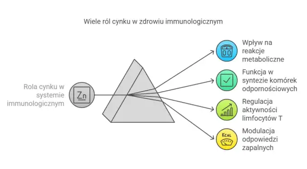 Cynk: jak zażywać skutecznie i bezpiecznie? Dawki, formy, interakcje