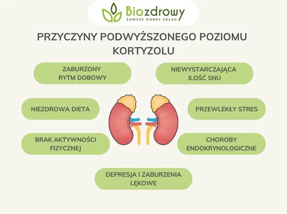 Jak obniżyć kortyzol? Sprawdzone suplementy i porady eksperta