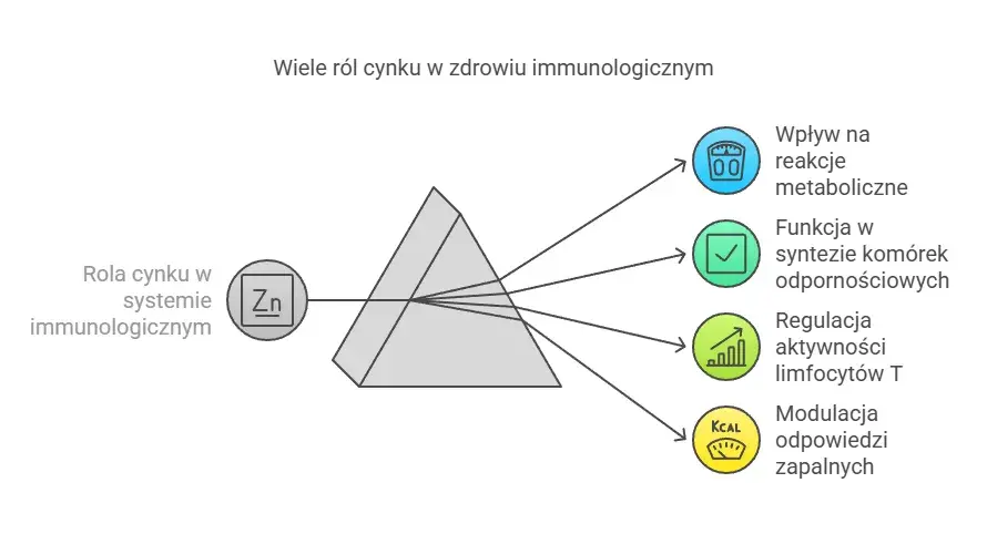Cynk: jak zażywać skutecznie i bezpiecznie? Dawki, formy, interakcje