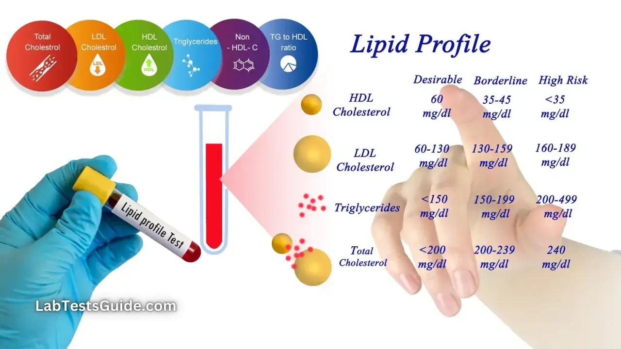 Lipidogram co to? Wykres przedstawia poziomy cholesterolu HDL, LDL, trójglicerydów i całkowitego cholesterolu, z podziałem na wartości pożądane, graniczne i wysokiego ryzyka.