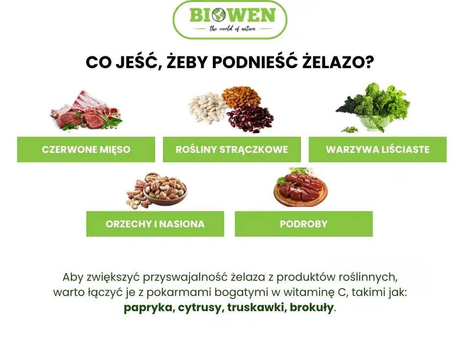 rola żelaza w organizmie infografika