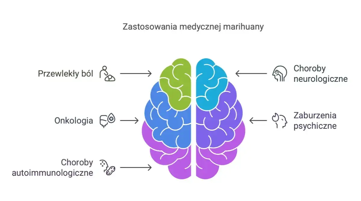 wskazania medyczne do terapii medyczną marihuaną
