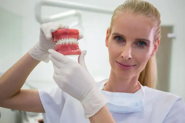 Dentystka w białej rękawiczce pokazuje model szczęki z aparatem ortodontycznym, zastanawiając się, ile zarabia dentysta.