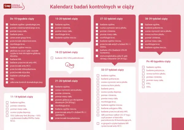 Harmonogram ciąży: Przewodnik po wizytach i badaniach krok po kroku