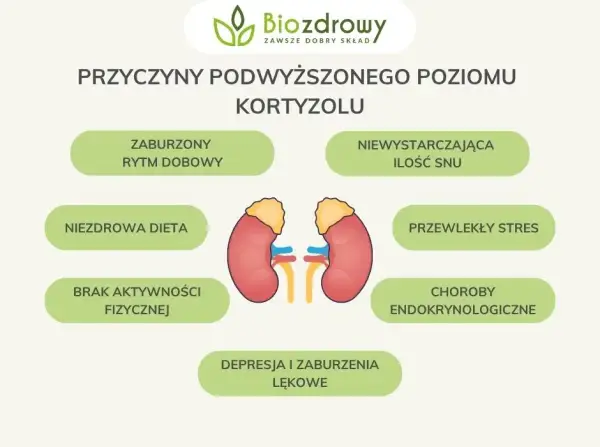 Jak obniżyć kortyzol? Sprawdzone suplementy i porady eksperta